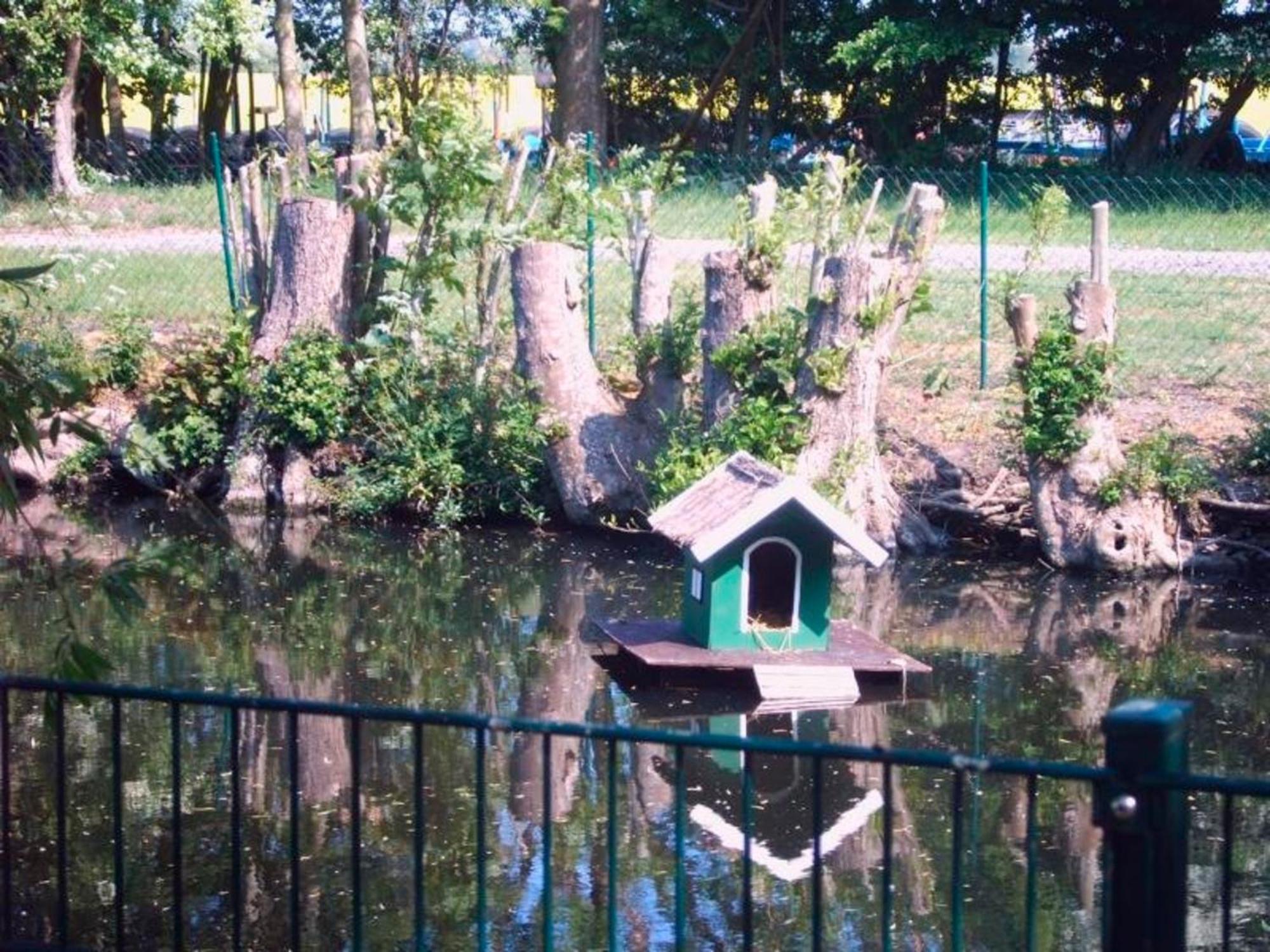 "Hoeper Mittelhof" Doppelzimmer Nr4 Lemkendorf Esterno foto