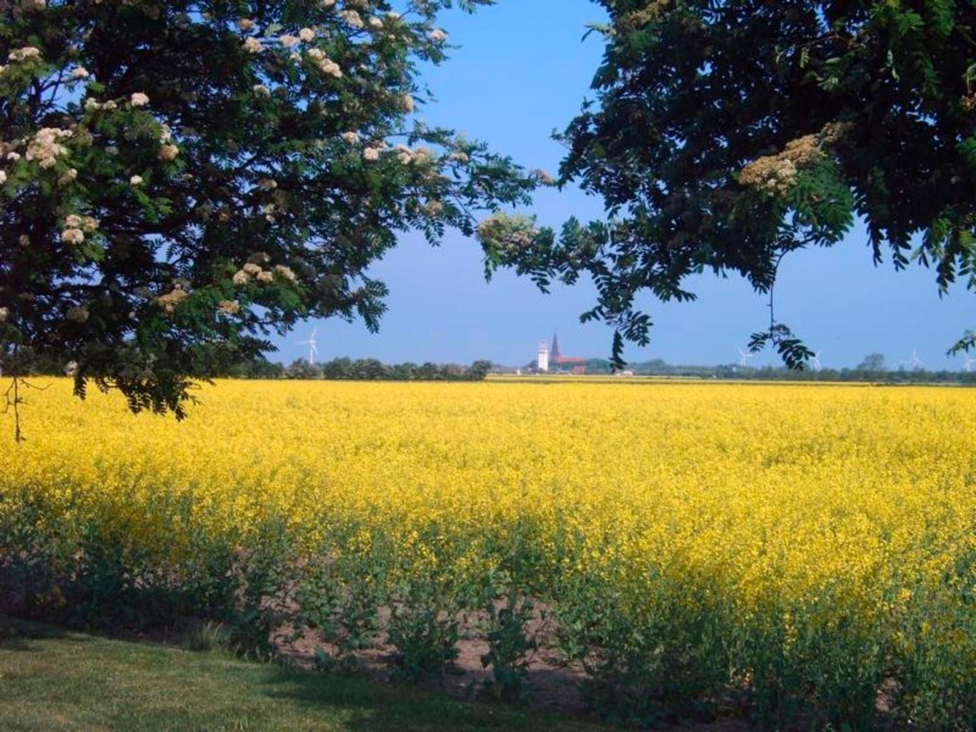 "Hoeper Mittelhof" Doppelzimmer Nr4 Lemkendorf Esterno foto